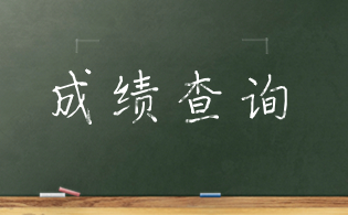2023年陜西高職單招學業(yè)水平成績公布
